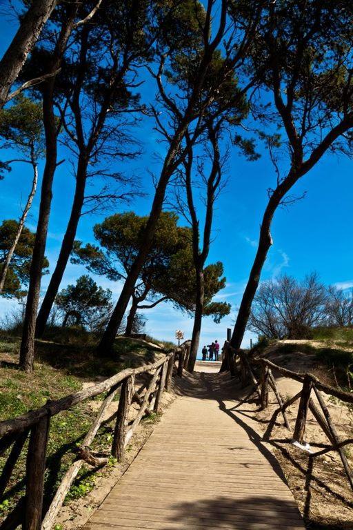 Casa Con Jardin-Wifi Free Villa L' Escala Kültér fotó